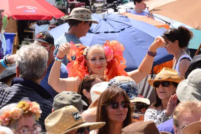 DSC_2028 (Large).JPG